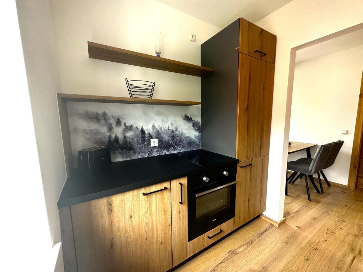 Appartement Bergmann Ebensee Zewnętrze zdjęcie