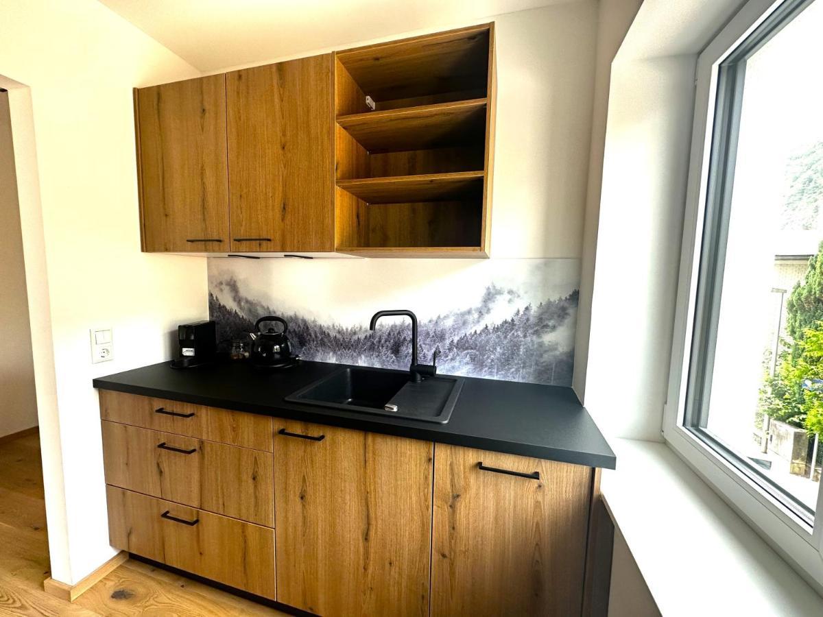Appartement Bergmann Ebensee Zewnętrze zdjęcie