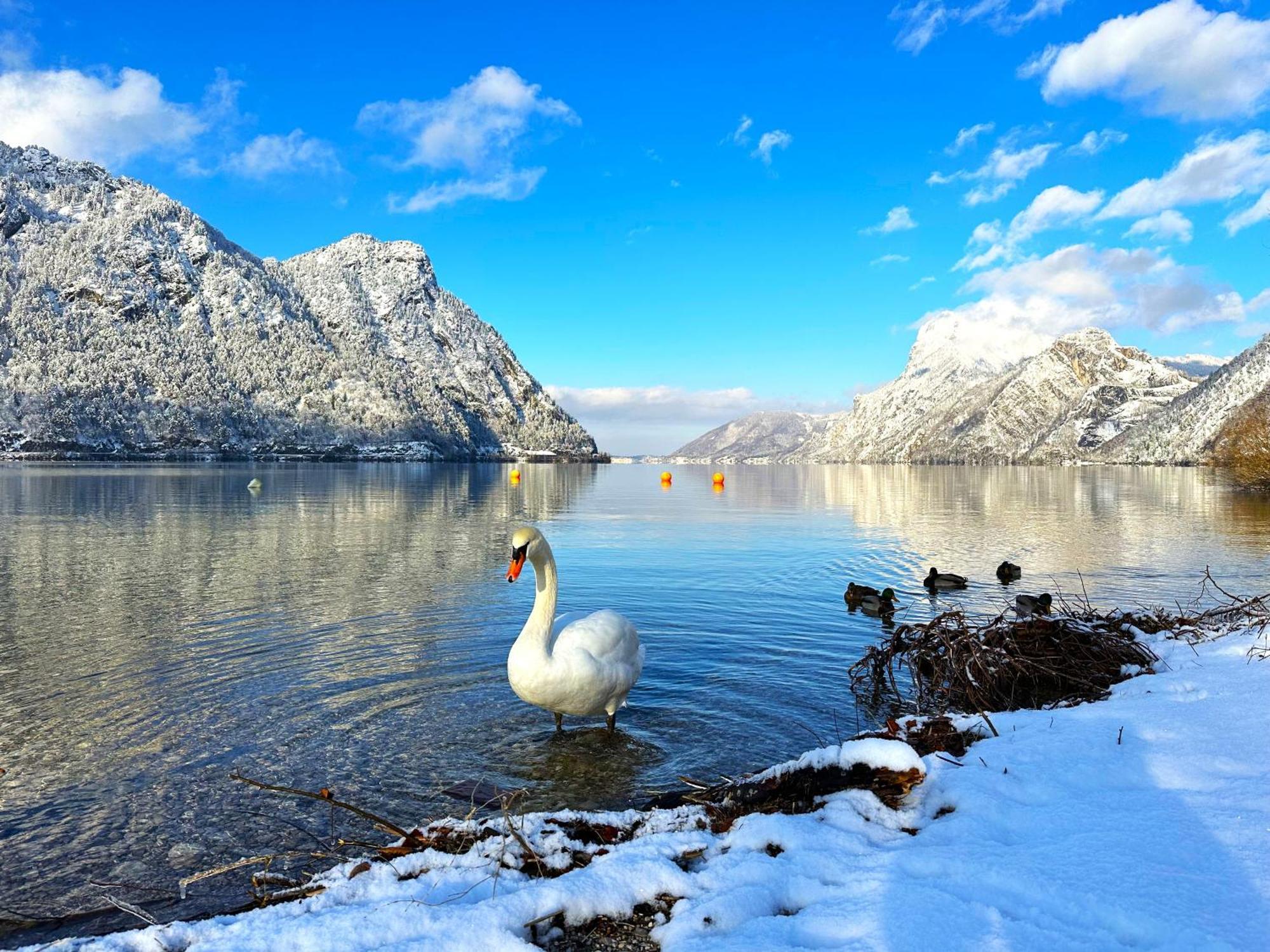 Appartement Bergmann Ebensee Zewnętrze zdjęcie